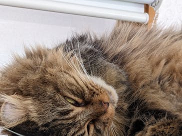 つくばわんわんランドに投稿された画像（2022/9/25）