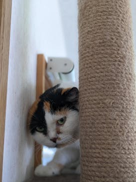 つくばわんわんランドに投稿された画像（2022/9/25）