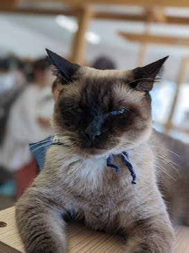 つくばわんわんランドに投稿された画像（2022/9/25）