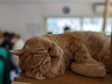 つくばわんわんランドに投稿された画像（2022/9/25）