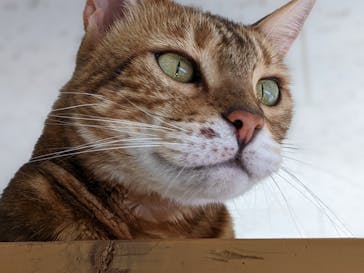 つくばわんわんランドに投稿された画像（2022/9/25）