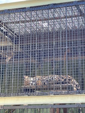 東武動物公園に投稿された画像（2022/9/25）