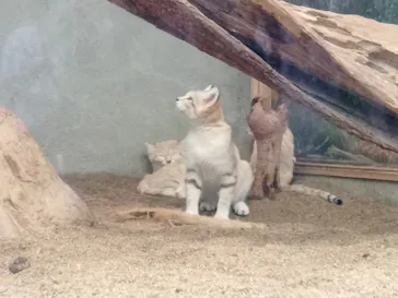 神戸どうぶつ王国に投稿された画像（2022/9/25）