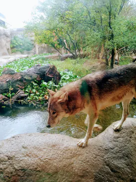 神戸どうぶつ王国に投稿された画像（2022/9/25）