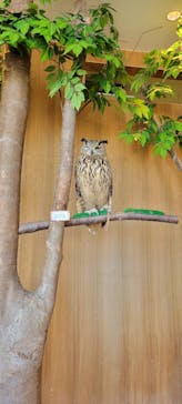 Moff animal cafe 小田原ダイナシティ店に投稿された画像（2022/9/25）