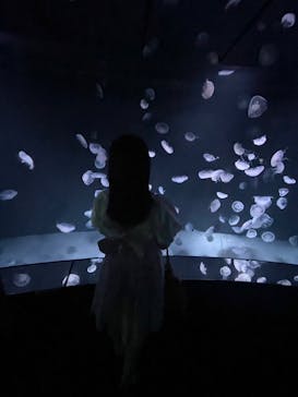 サンシャイン水族館に投稿された画像（2022/9/25）