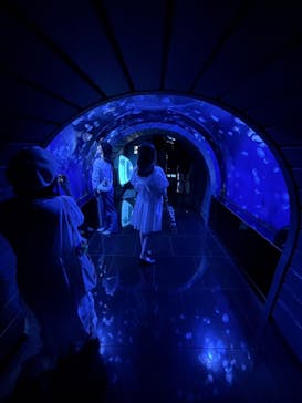 サンシャイン水族館に投稿された画像（2022/9/25）