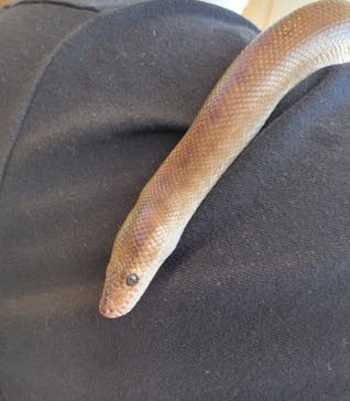 Moff animal cafe 小田原ダイナシティ店に投稿された画像（2022/9/25）