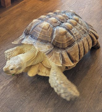 Moff animal cafe 小田原ダイナシティ店に投稿された画像（2022/9/25）