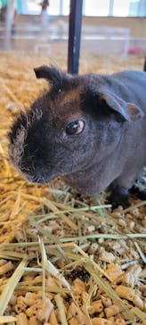 Moff animal cafe 小田原ダイナシティ店に投稿された画像（2022/9/25）