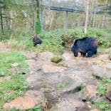 サホロリゾート　ベア･マウンテンに投稿された画像（2022/9/25）