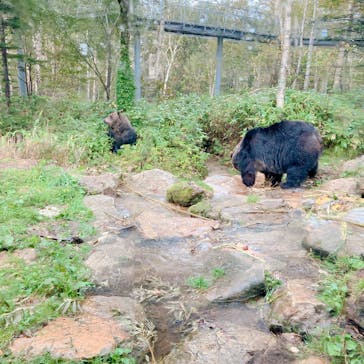 サホロリゾート　ベア･マウンテンに投稿された画像（2022/9/25）