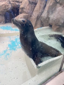 サンシャイン水族館に投稿された画像（2022/9/25）
