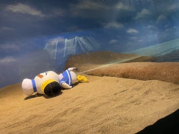 マリンワールド海の中道に投稿された画像（2022/9/25）