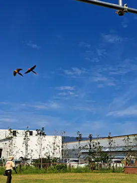 神戸どうぶつ王国に投稿された画像（2022/9/25）