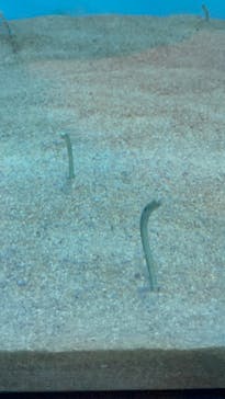 登別マリンパークニクスに投稿された画像（2022/9/25）