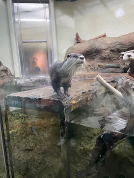 仙台うみの杜水族館に投稿された画像（2022/9/25）
