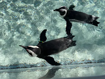 仙台うみの杜水族館に投稿された画像（2022/9/25）