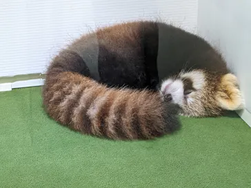 横浜・八景島シーパラダイスに投稿された画像（2022/9/25）