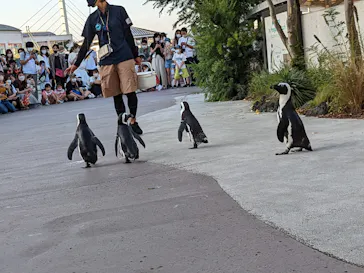 横浜・八景島シーパラダイスに投稿された画像（2022/9/25）