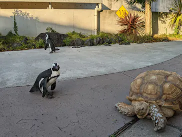 横浜・八景島シーパラダイスに投稿された画像（2022/9/25）