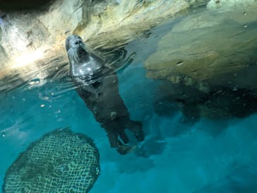 大分マリーンパレス水族館 「うみたまご」に投稿された画像（2022/9/25）