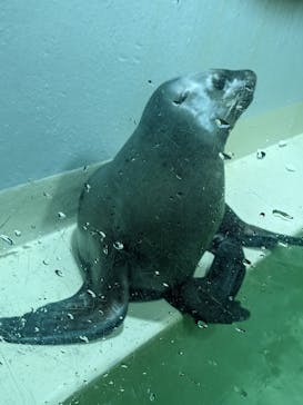 大分マリーンパレス水族館 「うみたまご」に投稿された画像（2022/9/25）