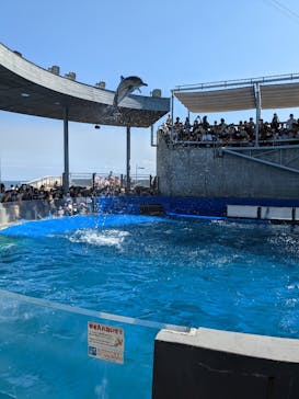 大分マリーンパレス水族館 「うみたまご」に投稿された画像（2022/9/25）