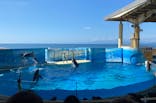 新江ノ島水族館に投稿された画像（2022/9/25）