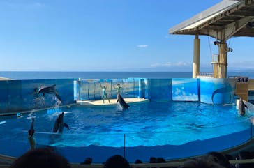新江ノ島水族館に投稿された画像（2022/9/25）
