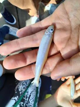 横浜・八景島シーパラダイスに投稿された画像（2022/9/25）