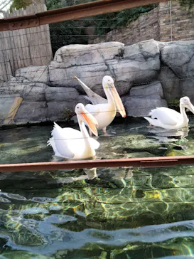 横浜・八景島シーパラダイスに投稿された画像（2022/9/25）