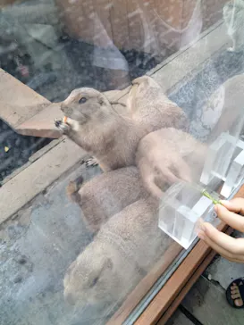 横浜・八景島シーパラダイスに投稿された画像（2022/9/25）