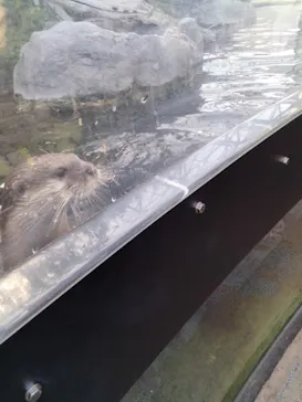 横浜・八景島シーパラダイスに投稿された画像（2022/9/25）