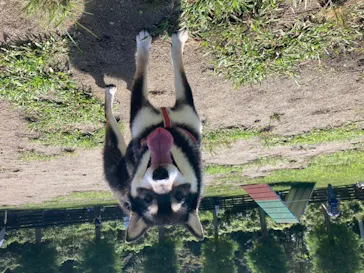 わんダフルネイチャーヴィレッジに投稿された画像（2022/9/25）