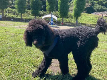 わんダフルネイチャーヴィレッジに投稿された画像（2022/9/25）