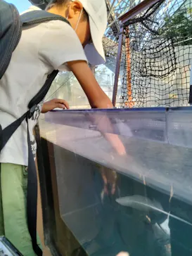 横浜・八景島シーパラダイスに投稿された画像（2022/9/25）