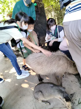 横浜・八景島シーパラダイスに投稿された画像（2022/9/25）