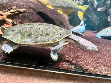 サンシャイン水族館に投稿された画像（2022/9/25）