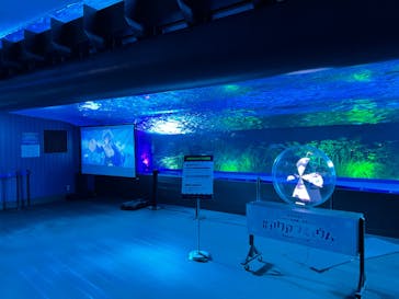 サンシャイン水族館に投稿された画像（2022/9/25）