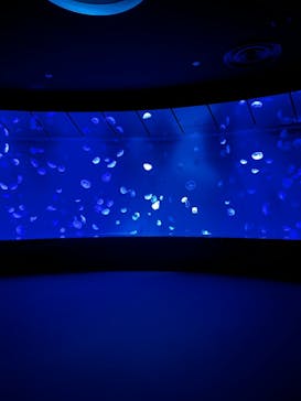 サンシャイン水族館に投稿された画像（2022/9/25）