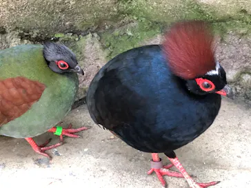 神戸どうぶつ王国に投稿された画像（2022/9/25）