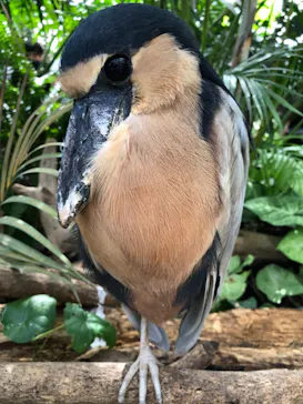 神戸どうぶつ王国に投稿された画像（2022/9/25）