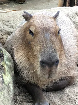 神戸どうぶつ王国に投稿された画像（2022/9/25）