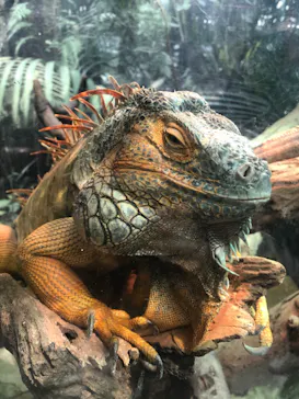 神戸どうぶつ王国に投稿された画像（2022/9/25）