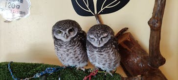 ワールド牧場に投稿された画像（2022/9/25）