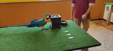 ワールド牧場に投稿された画像（2022/9/25）