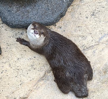 大分マリーンパレス水族館 「うみたまご」に投稿された画像（2022/9/25）