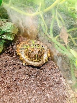 サンシャイン水族館に投稿された画像（2022/9/25）