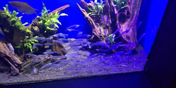 サンシャイン水族館に投稿された画像（2022/9/25）